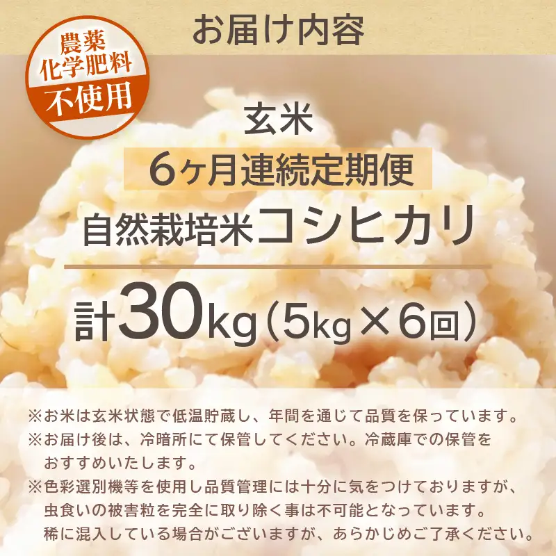 【先行予約】【令和8年産】【定期便】≪6ヶ月連続お届け≫ コシヒカリ 玄米 5kg×6回 （計30kg）化学肥料 農薬不使用 自然栽培米 / 北陸 福井県産 あわら市 ブランド米 玄米 お米 コメ ※2026年10月上旬以降順次発送予定 [aw138-k001]