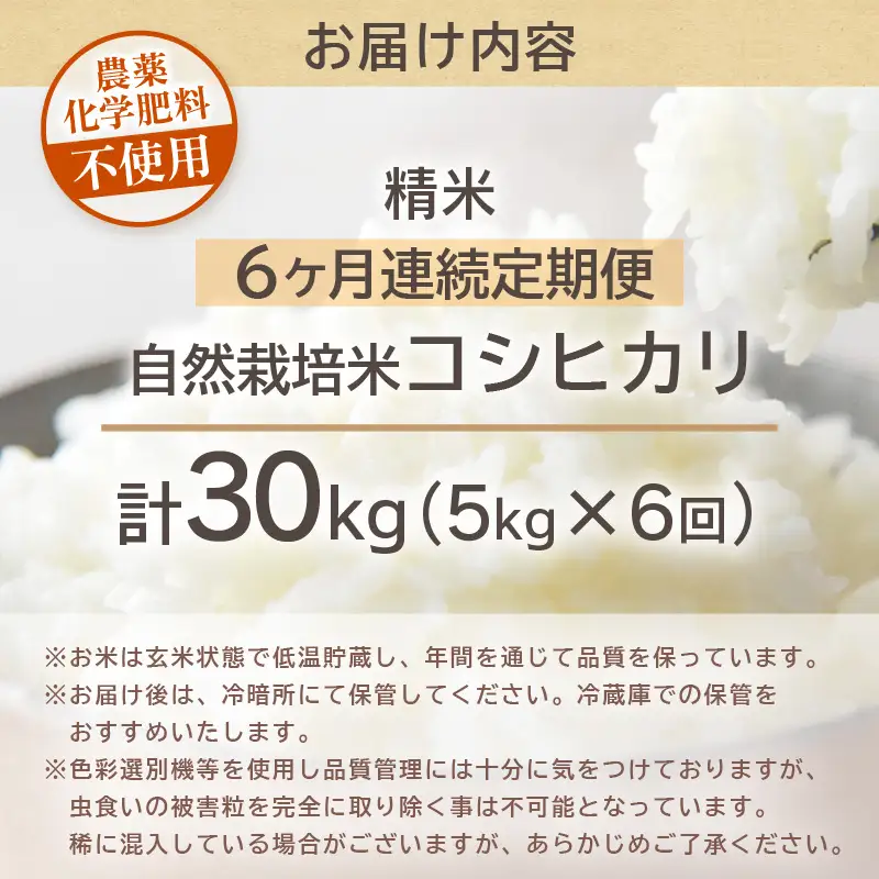 【先行予約】【令和8年産】【定期便】 ≪6ヶ月連続お届け≫ コシヒカリ 精米 5kg×6回 （計30kg） 化学肥料 農薬不使用 自然栽培米 / 北陸 福井県産 あわら市 ブランド米 白米 お米 コメ ※2026年10月上旬以降順次発送予定 [aw138-k002]
