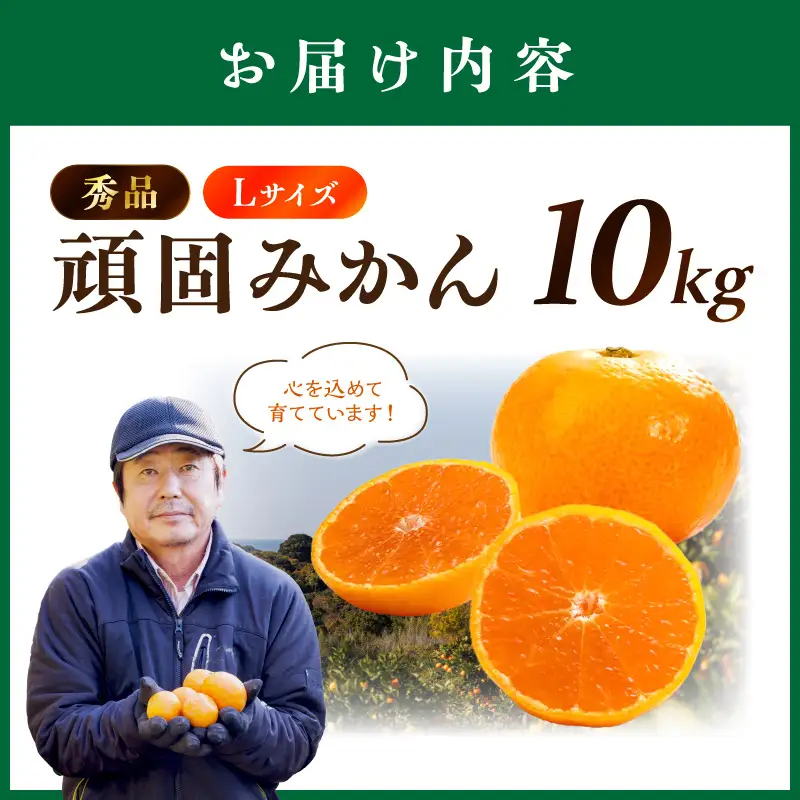 和歌山県天田のこだわり頑固みかん【秀品】10kg　サイズ指定可能（S・M・L）Lサイズ【1206-1_L】