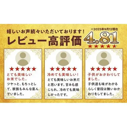 令和8年産米（数量限定）栄町産 特別栽培米 コシヒカリ10kg（5kg袋×2）ちば緑耕舎 ※2026年10月～発送 19-1｜令和8年産 白米 精米 お米 コメ ごはん お弁当 おにぎり 人気 おすすめ