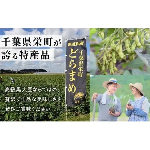 栄町の特産品　どらまめ枝豆2.5kg　数量限定 ｜枝豆 えだまめ 数量限定 おつまみ お弁当 健康 黒枝豆 16ｰ9 ※2026年10月～発送 ※沖縄・離島への配送不可