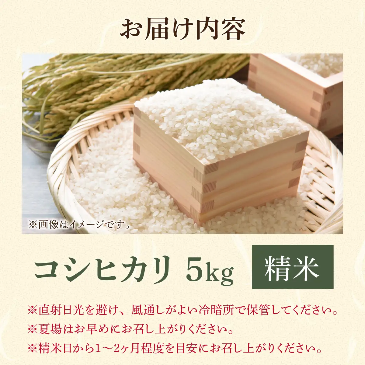 米 コシヒカリ 勝山市産 田中さんち 精米 5kg [A-080011]