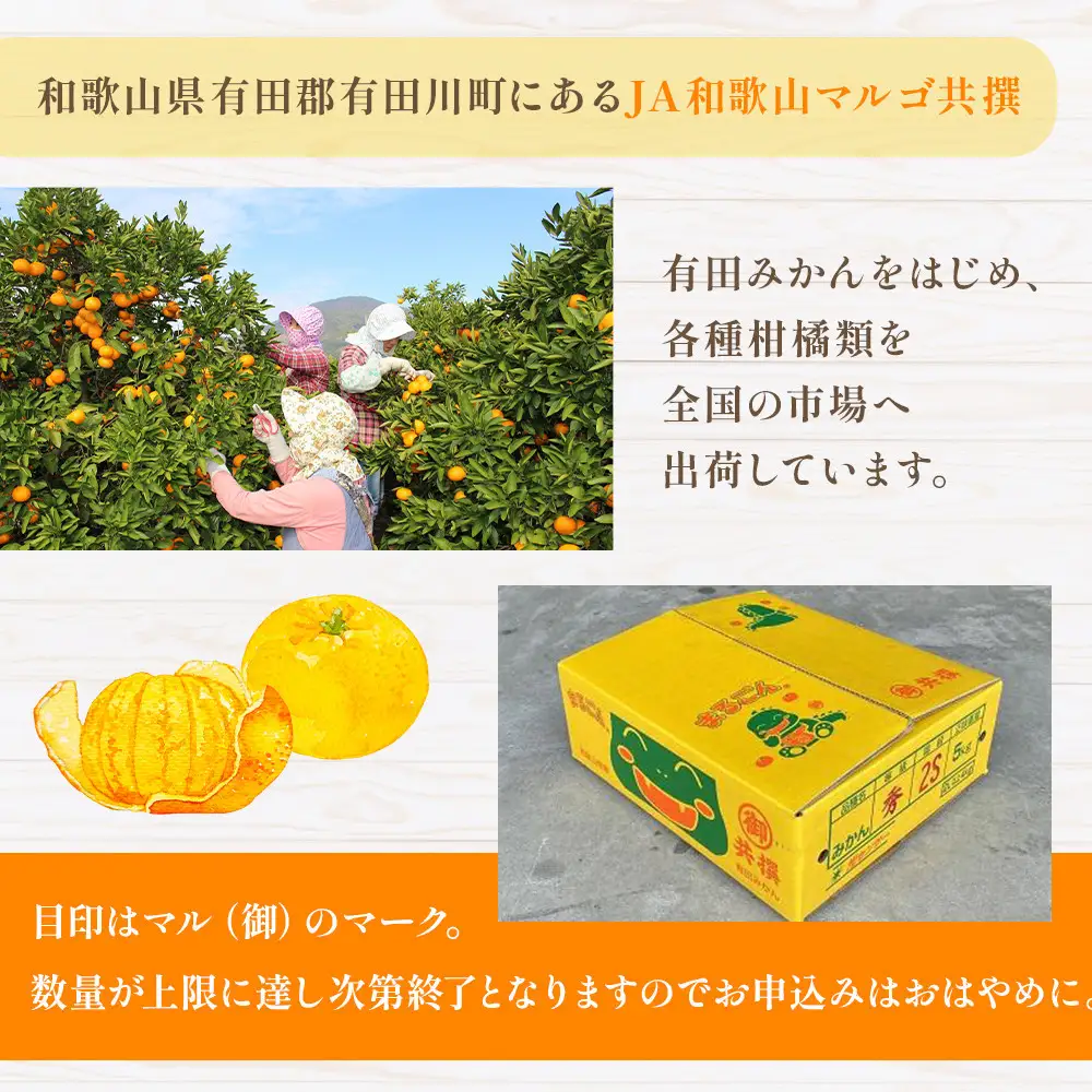 有田みかん 4kg 2Lサイズ 光センサー使用 高糖度