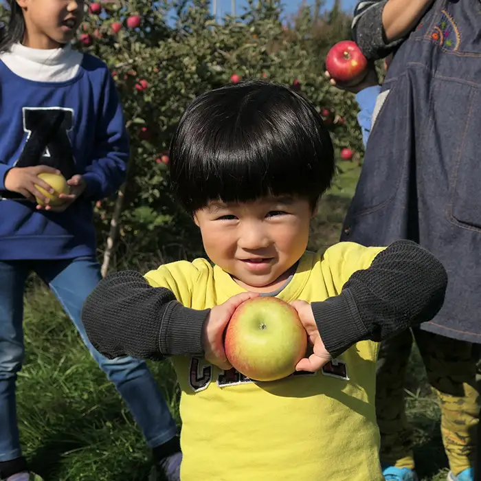 【2026年 先行予約 令和8年産】 りんご 5kg 期間限定 【若手生産者応援】 ふじ サンふじ 伊藤 快 贈答用 果物 フルーツ 先行 予約 信州 麻績村