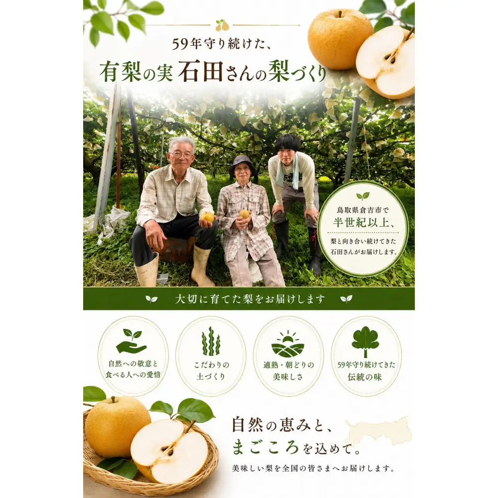 有梨の実石田 新興梨(ギフト用)5kg(10月中旬から発送）