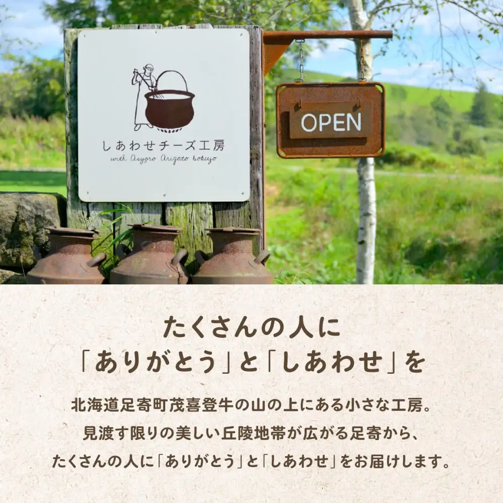 12回定期便 できたて直送「大空 ヨーグルト」 400g×4個×12回 [BEAK041]