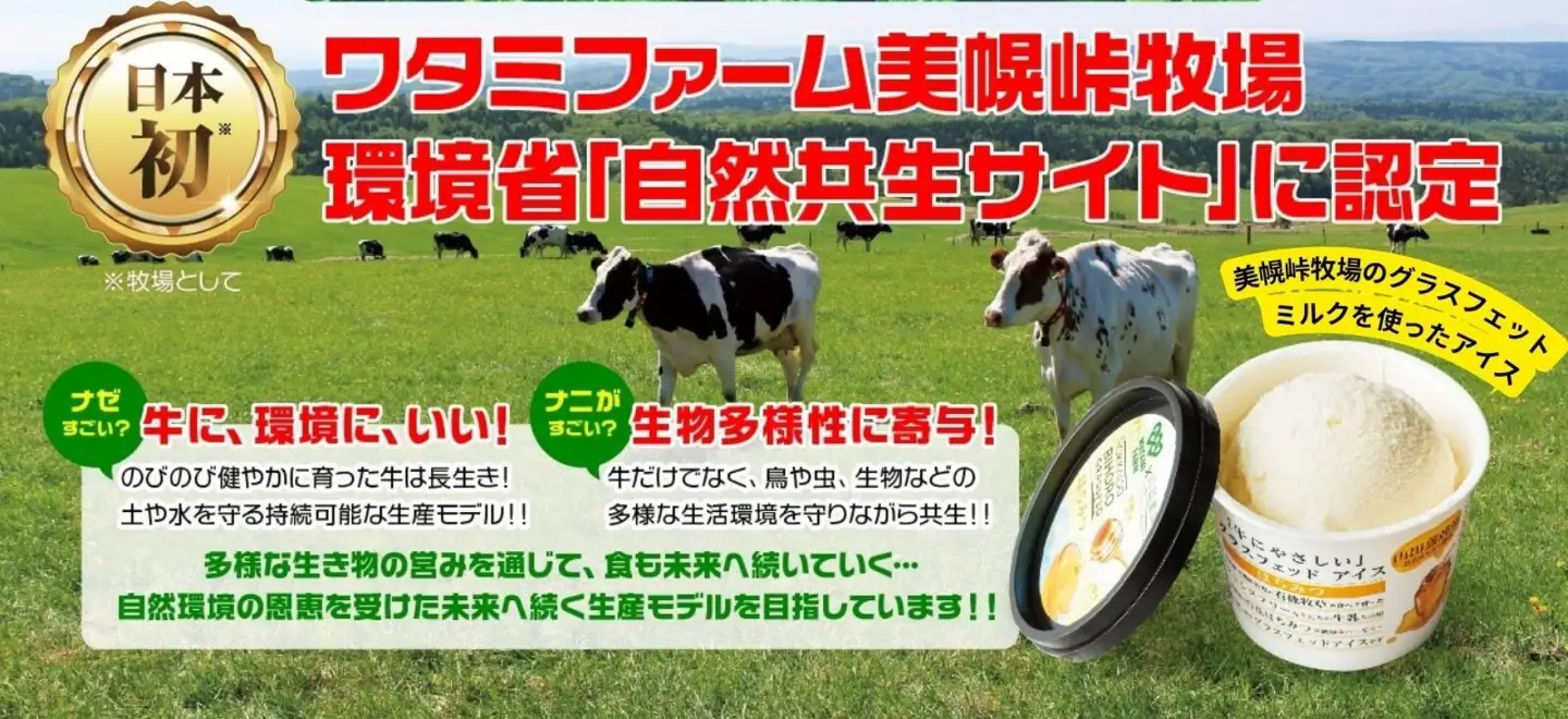 北海道美幌峠牧場のグラスフェッドアイスセット（はちみつ）110ml 6個入り