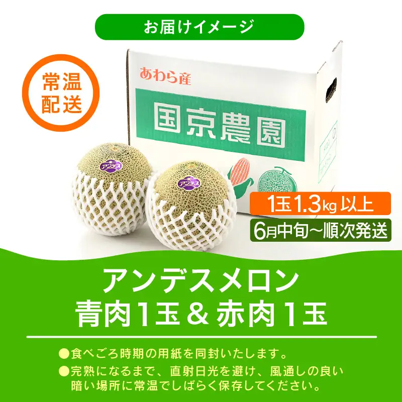 【先行予約】紅白アンデスメロン 青肉・赤肉 食べ比べセット ４L(1玉1.3kg以上）×2玉 ／ 果物 フルーツ 産地直送 糖度 ギフト 贈り物 福井県あわら市 ※2027年6月中旬以降順次発送 [aw067-a006]