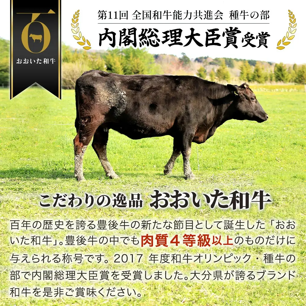 生ハム おおいた和牛 生ハム 50g×20P