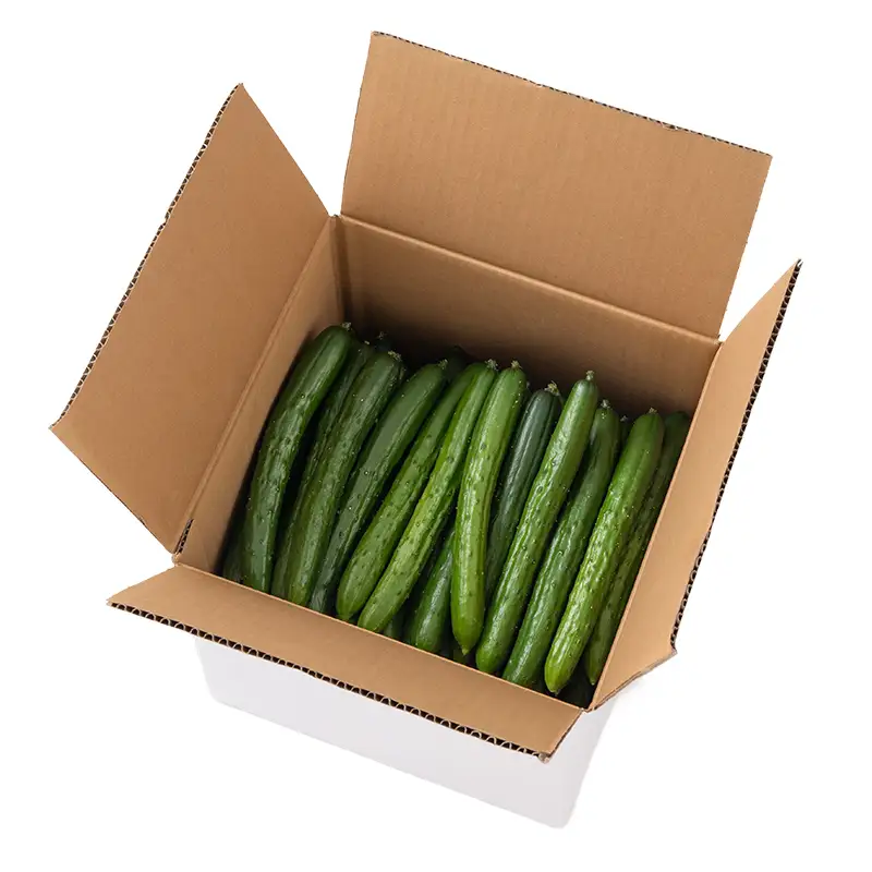 きゅうり 約5kg 山形県 戸沢村産 野菜 夏野菜 胡瓜 キュウリ 産地直送 F7W-0502