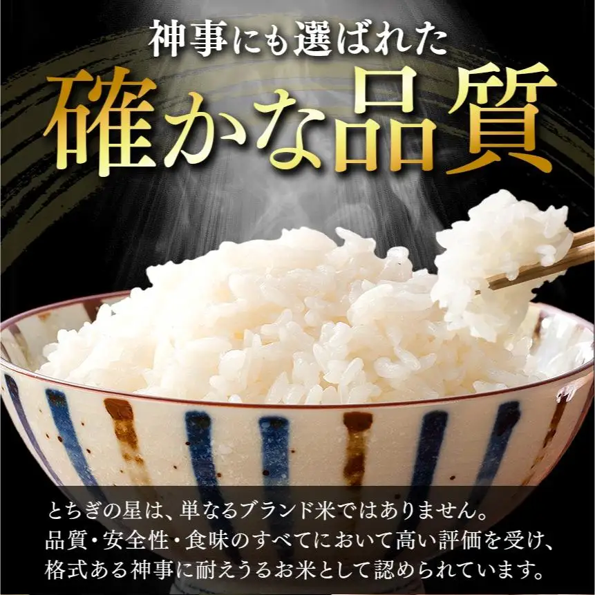 【お試しサイズ】パックごはん とちぎの星 栃木県矢板市産 お米 100％ 150g×2個