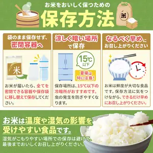 先行予約】令和8年産 熊本県産 応援米 白米 20kg こめ 米 訳あり 規格
