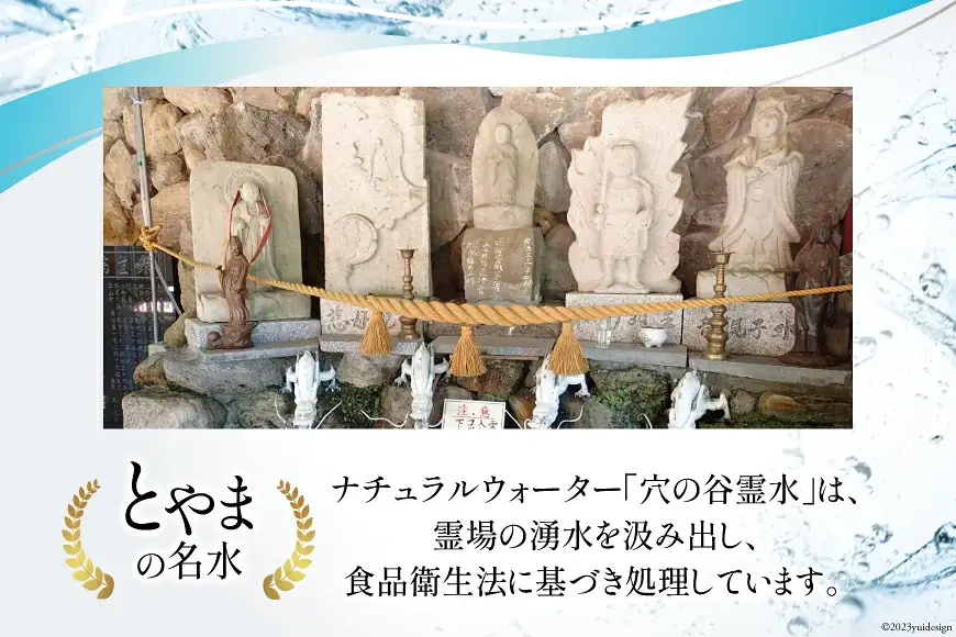 穴の谷霊水 20L ポリタンク (コック付き) / 穴の谷弘真会 / 富山県 上市町 [32280049] 水 ナチュラルウォーター 20l 20リットル 名水百選 万病 軟水 霊水