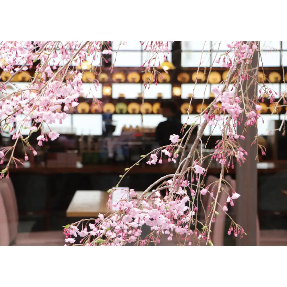 自家焙煎 コーヒー 600g アソートセット 飲み比べ 豆のまま【桜珈琲】