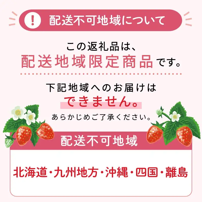 【2027年4月発送】いちご 完熟 紅ほっぺ 2パック