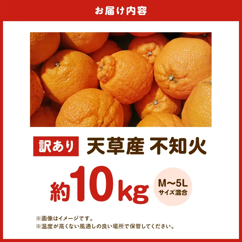 S153-005_天草産 訳あり 不知火 約10kg