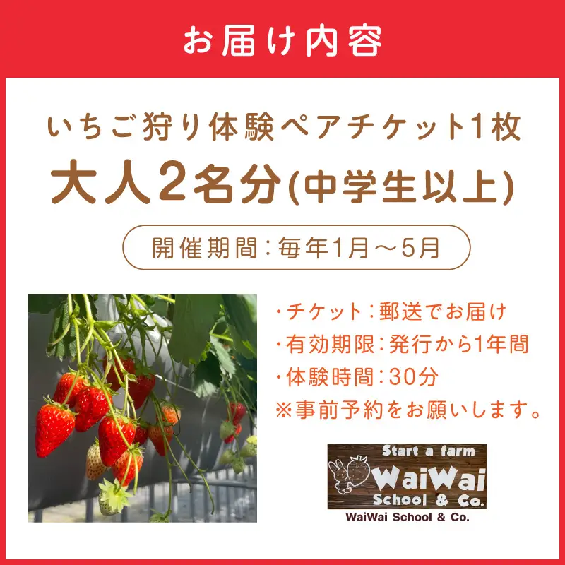 いちご狩り体験ペアチケット（大人2名）【ふるさと納税3.0】【117D-003】