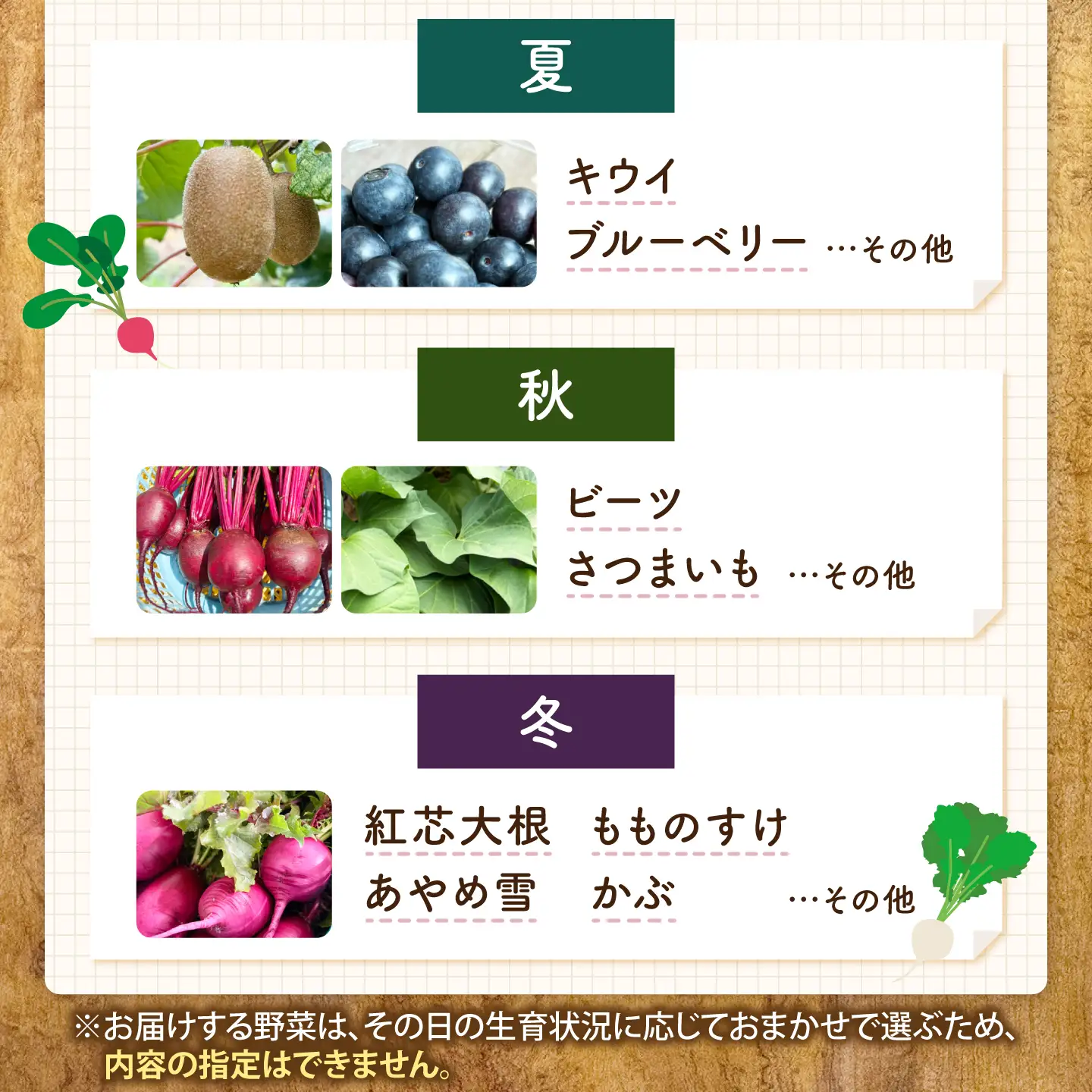 野菜 季節の野菜と自家製ドレッシング2種（人参・ビーツ）詰め合わせ [BAHK010] 野菜