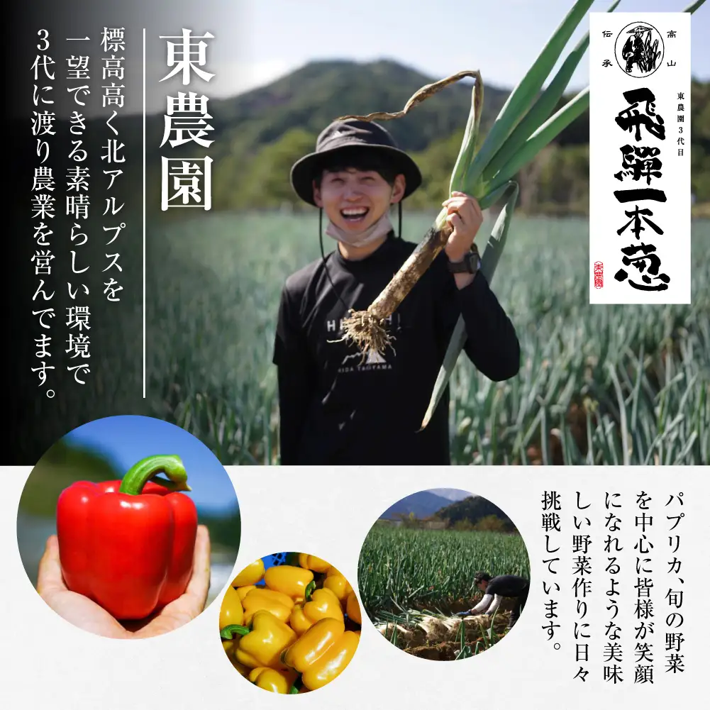 【先行予約】飛騨一本葱 プレミアム5キロ（15本‐20本） 葱 ねぎ JY005