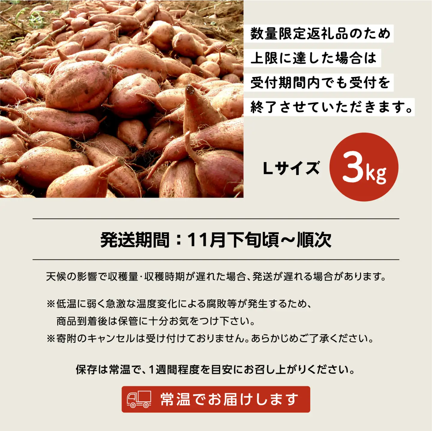 【先行予約】種子島 安納いも 3kg（Lサイズ：300g～400g）（秀さん農園）さつまいも 本場 安納芋 安納紅 安納こがね さつま芋 甘い ねっとり スイーツ おやつ グルメ お取り寄せ 人気 種子島産 返礼品 南種子町 鹿児島【南種子町観光物産館 トンミー市場】