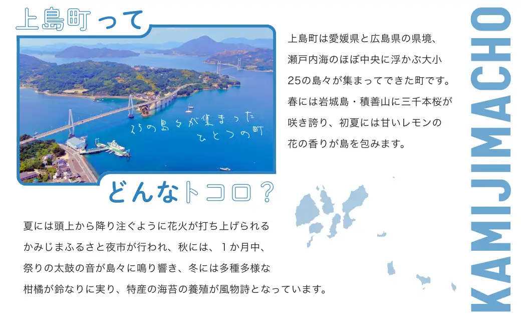 「青いレモンの島」育ちのレモンポーク スペアリブ 1.5kg 500g×3p 豚肉 スペアリブ レモンポーク 豚 豚肉 ポーク 冷凍保存 真空 真空パック 小分け おかず バーベキュー
