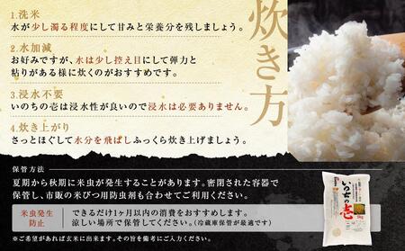【定期便】飛騨高山産 いのちの壱（白米）5kg×12ケ月 | 粒が大きい いのちの壱  AU110