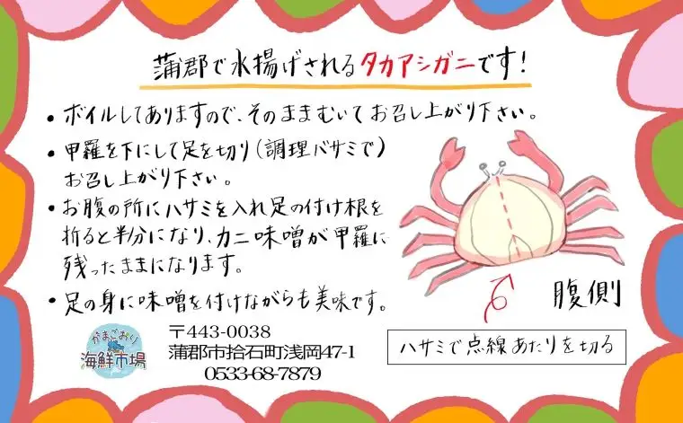 【数量限定】蒲郡産 タカアシガニのまるごと茹でたてお取り寄せ_【G0775】