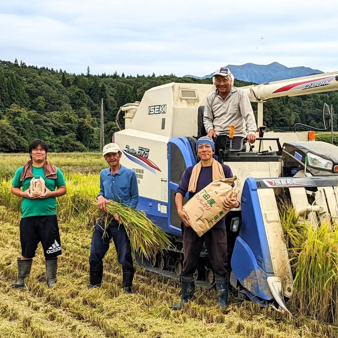 新潟県 三条市 しただ産 なつひめ 5kg 白米 新米 令和8年 新品種 産地直送 えちご三四郎