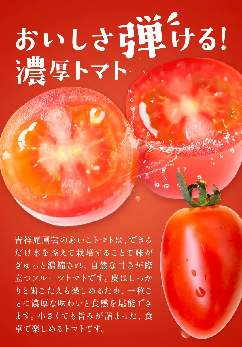 【8回定期便】トマト あいこ あいこトマト 200g×4パック ×8回 吉祥庵園芸《11月上旬-6月上旬頃出荷》鹿児島県 さつま町 送料無料 野菜 トマト お取り寄せ