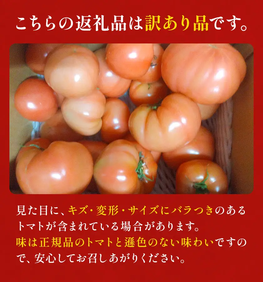 【8回定期便】訳あり トマト 大玉 大玉トマト わけあり 2kg ×8回 吉祥庵園芸《11月上旬-6月上旬頃出荷》鹿児島県 さつま町 送料無料 野菜 トマト お取り寄せ