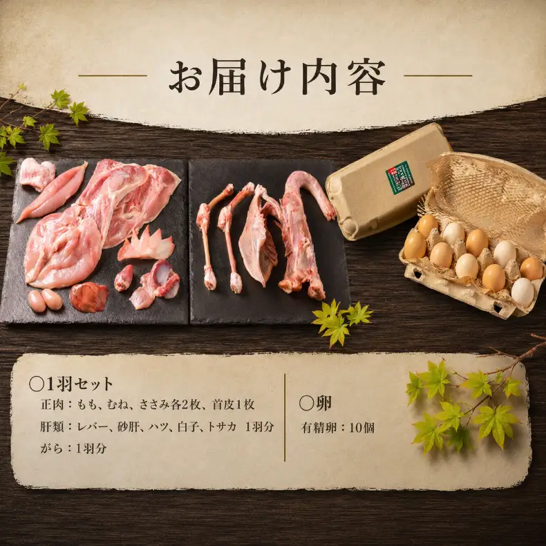 地鶏 【5月発送】  土佐ジロー 1羽 ( 正肉 肝 がら ) 卵 10個 セット 地鶏 鶏肉 卵