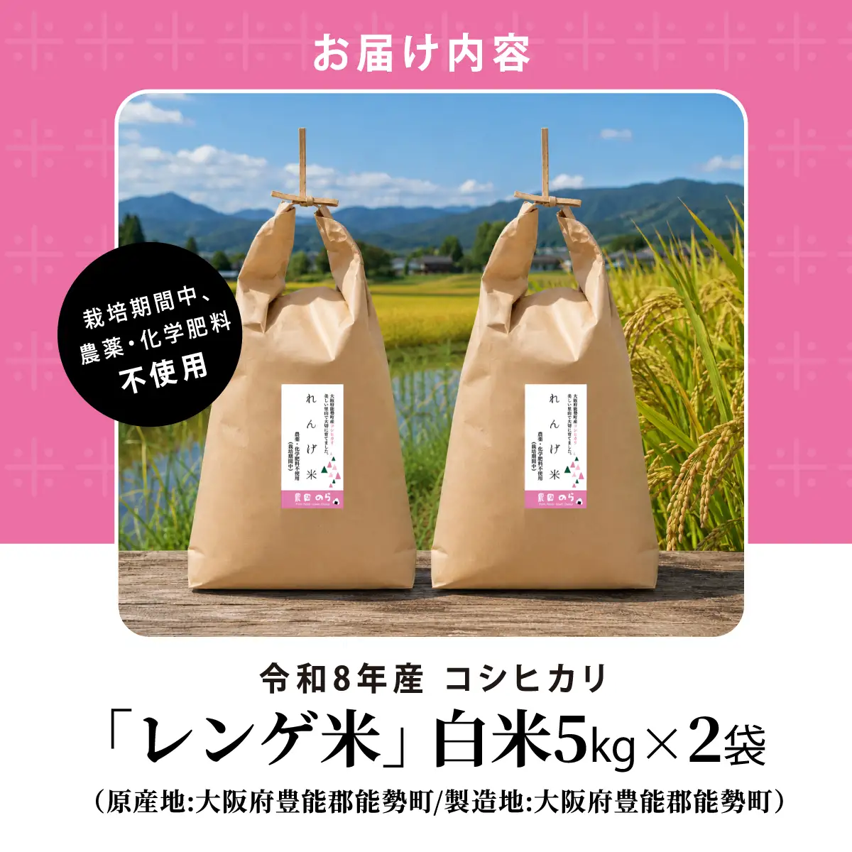 《予約受付中》令和8年産コシヒカリ「レンゲ米」白米 5kg×2袋 (栽培期間中農薬・化学肥料不使用) | 農園のら | 米 新米 白米 10kg コシヒカリ 中農薬 化学肥料不使用 自然栽培 特別栽培 | おにぎり 弁当 産地直送 | 大阪府 能勢町 送料無料