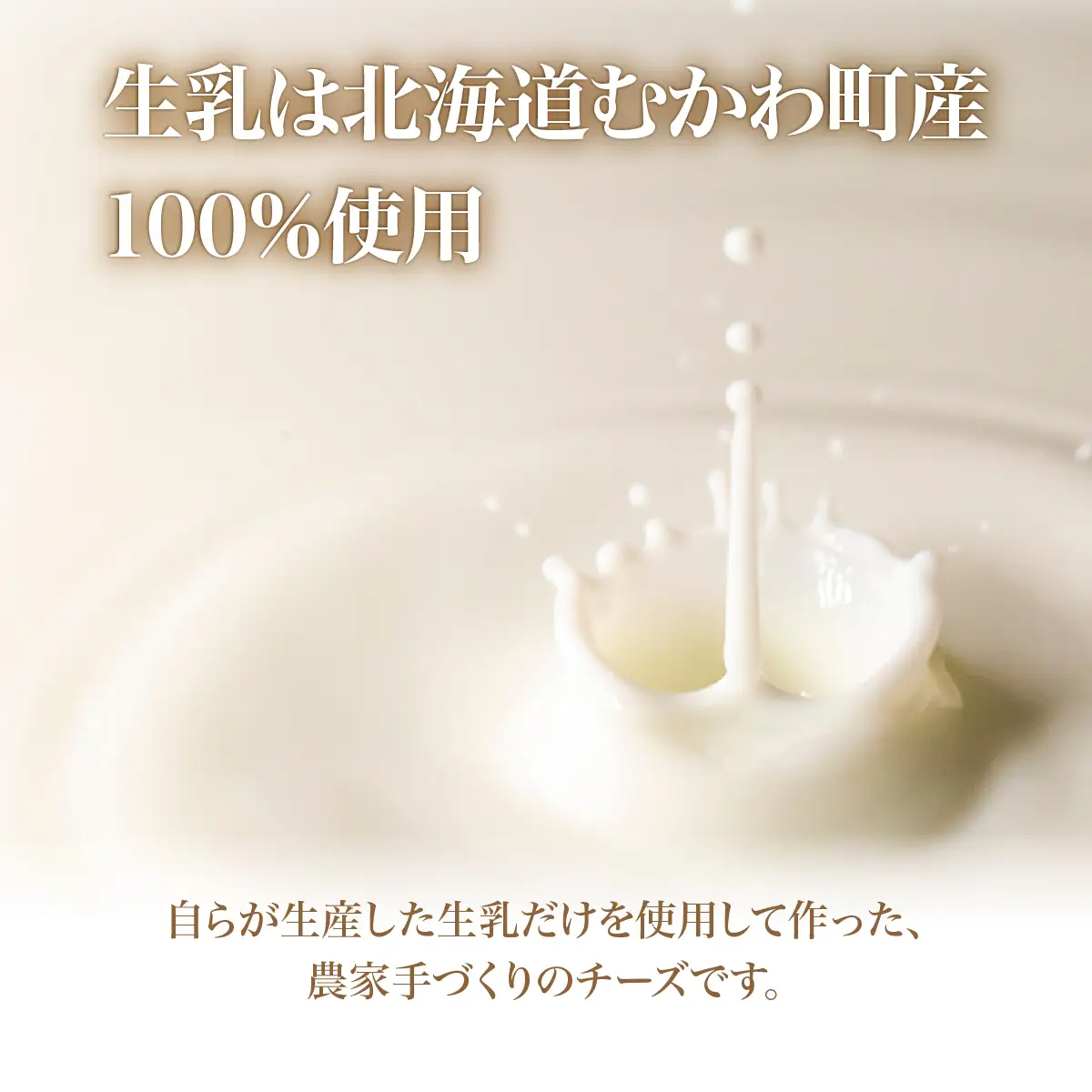 北海道 チーズ ストリング・しおかぜ(80g)5個セット MKWA011