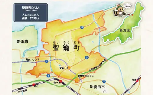 【先行予約 12月発送】杵つき 生 切り餅 8枚入･6パックセット（新潟県聖籠町産こがねもち使用）