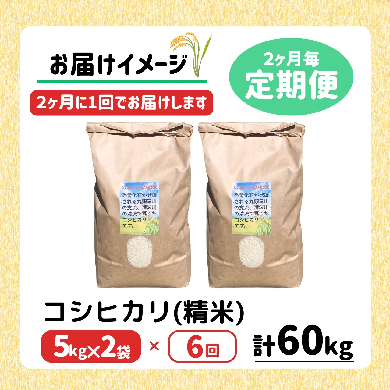 精米 のむき風の郷米 コシヒカリ（精米) 5㎏×2袋 定期便 先行予約