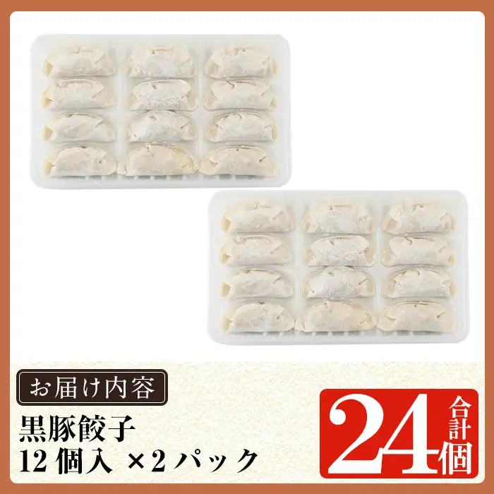 a1112 鹿児島黒豚「短鼻豚」無添加餃子 計24個(12個入×2パック)【鹿児島ますや】姶良市 国産 豚肉 野菜 ぎょうざ ギョーザ ギョウザ 惣菜 おかず 冷凍 安心