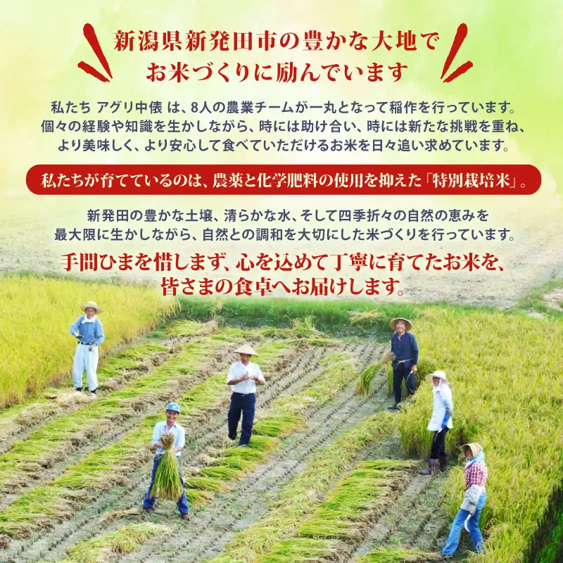 【コンテスト入賞米】 新米 特別栽培米 コシヒカリ 10kg 5kg×2袋 特栽米 新潟県産コシヒカリ 新発田産 新潟 米 アグリ中俵 新潟県 新発田市 【令和8年産 先行予約 2026年11月以降順次発送】nakatawaraKH008