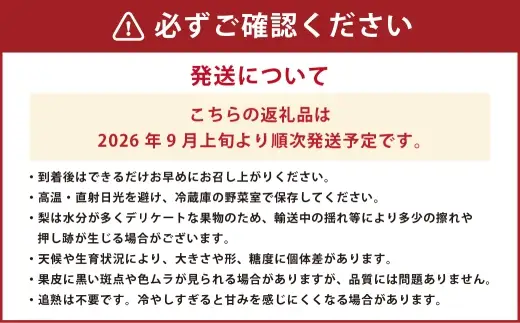秋月梨 約5kg （ 6 ～ 18玉 ） 梨 なし ナシ 果物 くだもの フルーツ 果実 果汁 果肉 国産 熊本県産 【 2026年9月上旬から9月下旬発送予定 】
