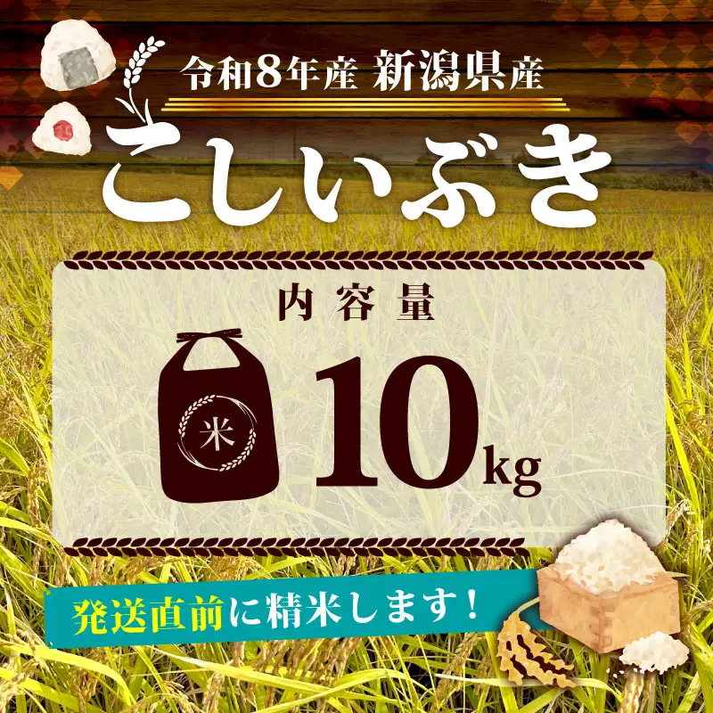 【令和8年産】 新潟県産 こしいぶき 10kg 5kg×2袋 単品 新発田産 新潟 ふるさと納税 米 お米 アグリ中俵 白米 米 お米 こめ コメ ライス ご飯 ごはん 美味しい 贈り物 国産 新潟県 新発田市 お取り寄せ 産地直送  【令和8年産 先行予約 2026年11月以降順次発送】nakatawaraKI008_01