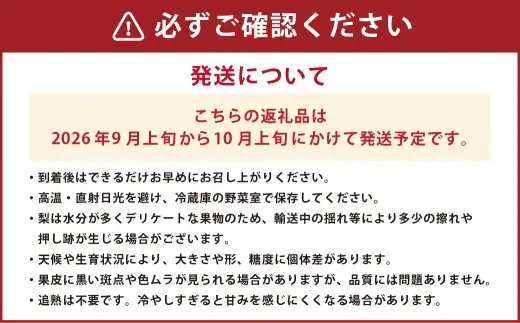新高梨 約5kg （ 6 ～ 16玉 ） 梨 なし ナシ 果物 くだもの フルーツ 果実 果汁 果肉 国産 熊本県産 【 2026年9月上旬から10月上旬発送予定 】