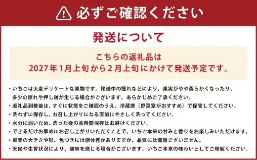 いちご 約1kg （ 250g × 4パック ） イチゴ 苺 果物 くだもの フルーツ 果実 果肉 国産 熊本県産 【 2027年1月上旬から2月上旬発送予定 】