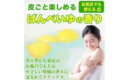 晩白柚 2L サイズ 2玉 約4kg 柑橘系 柑橘類 柑橘 果物 くだもの フルーツ 果実 果汁 果肉 国産 熊本県産 【 2026年12月上旬から2027年2月下旬発送予定 】