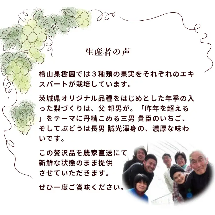梨 食べ比べ 約3kg 3種類 梨