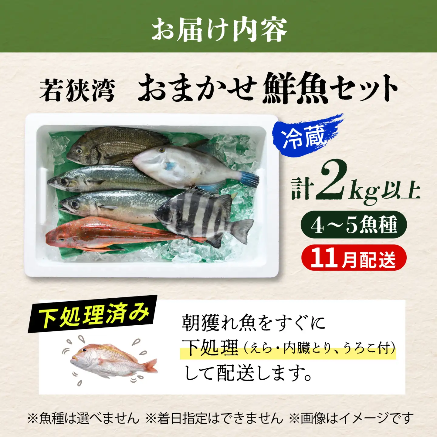 若狭湾鮮魚セットおまかせ2kg以上（4～5魚種）【11月発送】