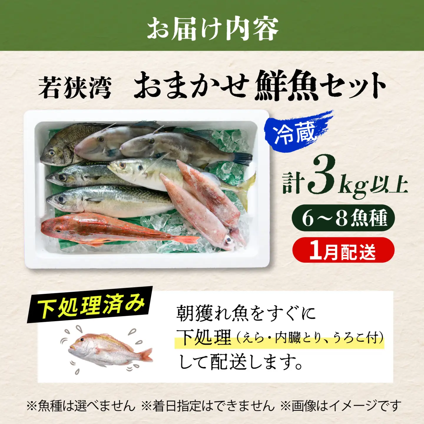 若狭湾鮮魚セットおまかせ3kg以上（6～8魚種）【1月発送】