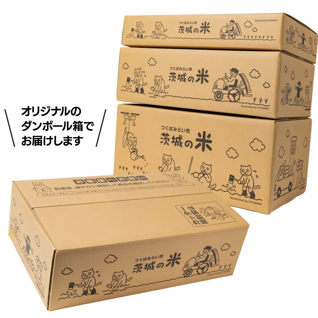 ＼ 令和8年産 新米 先行予約 ／ 【12月上期出荷】 コシヒカリ 5kg（精米） 茨城県つくばみらい市産 │ こしひかり 米 コメ こめ 単一米 限定 茨城県産 国産 美味しい お米 おこめ おコメ つくばみらい市