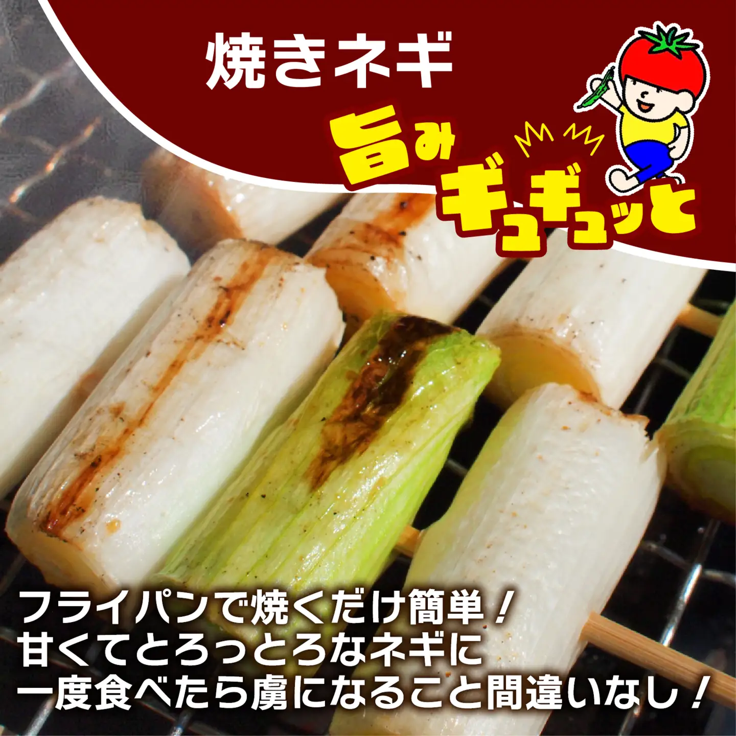 【先行予約】 【期間限定】 日野町産 わたむきねぎ 8kg 40本 トマトファクトリー 野菜 ねぎ ネギ 長ネギ 白ネギ 