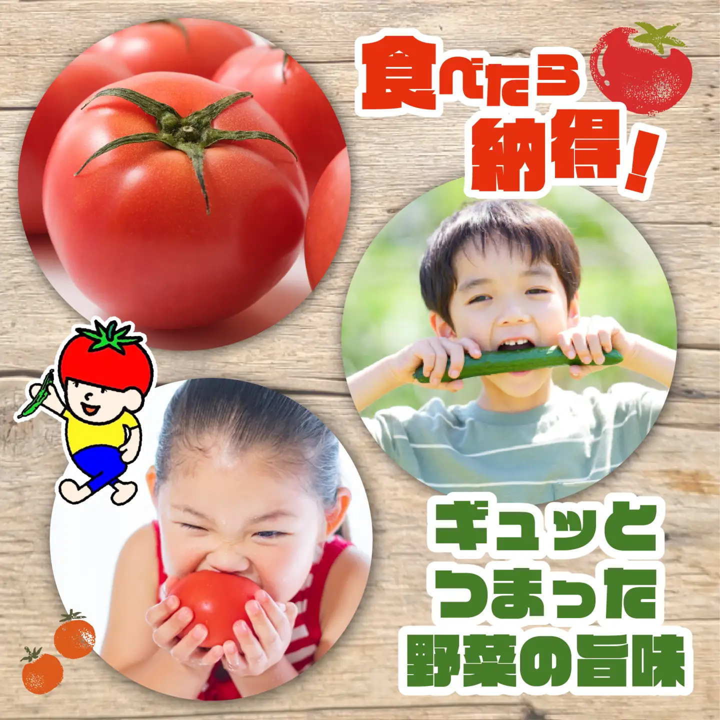 【数量限定】 おまかせ野菜セット 1箱 トマトファクトリー 野菜 トマト きゅうり 白菜 オクラ じゃがいも 玉ねぎ なす 詰め合わせ