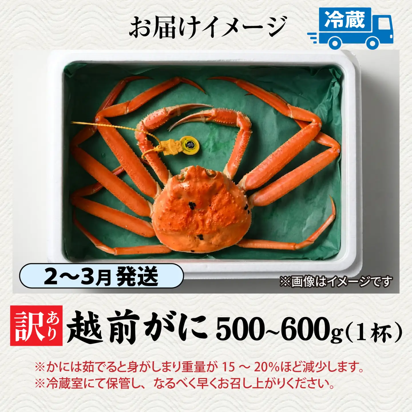 【先行予約】【訳あり】朝茹で 越前がに 500g～600g （足折れ）2月～3月発送「2月上旬より順次発送」[C-065044]/ ｽﾞﾜｲｶﾞﾆ ｽﾞﾜｲｶﾞﾆ ｽﾞﾜｲｶﾞﾆ