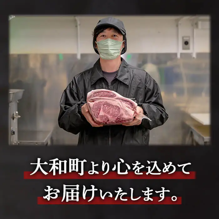豚ロース 味噌漬け 厚切り ＜500g＞ にんにく風味 味噌だれ 味付き 豚肉 肉 お肉 スライス BBQ 焼肉 冷凍 【株式会社バリューネットワーク】ta617